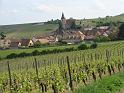 424Weinberge.Hunawihr