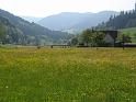 583Schiltersbach.Kinzigtal