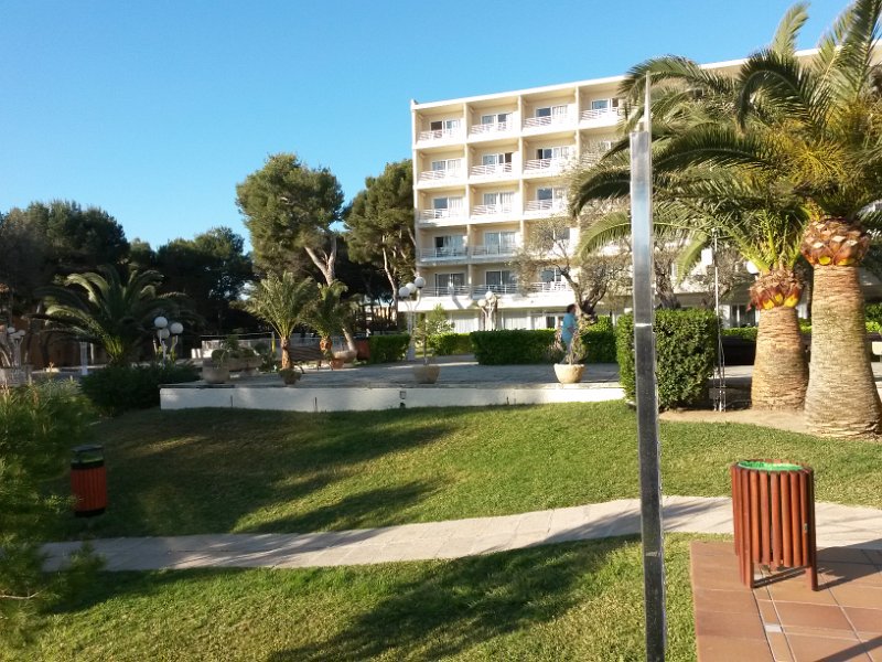 20150408_084830.jpg