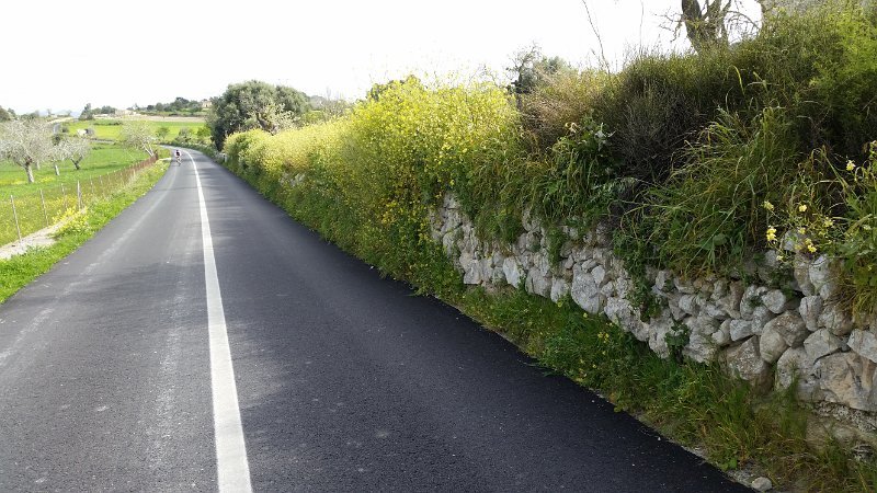 20150410_103752.jpg