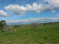 20150407_110636