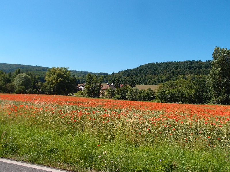 P6230473.JPG