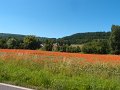 P6230473